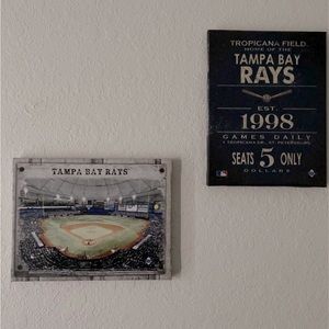 Tampa baby rays wall decor